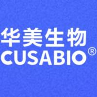 CDKB1-2/CDKB1-2蛋白/Short name:CDKB1;2蛋白/Recombinant Arabidopsis thaliana Cyclin-dependent kinase B1-2 (CDKB1-2)重组蛋白