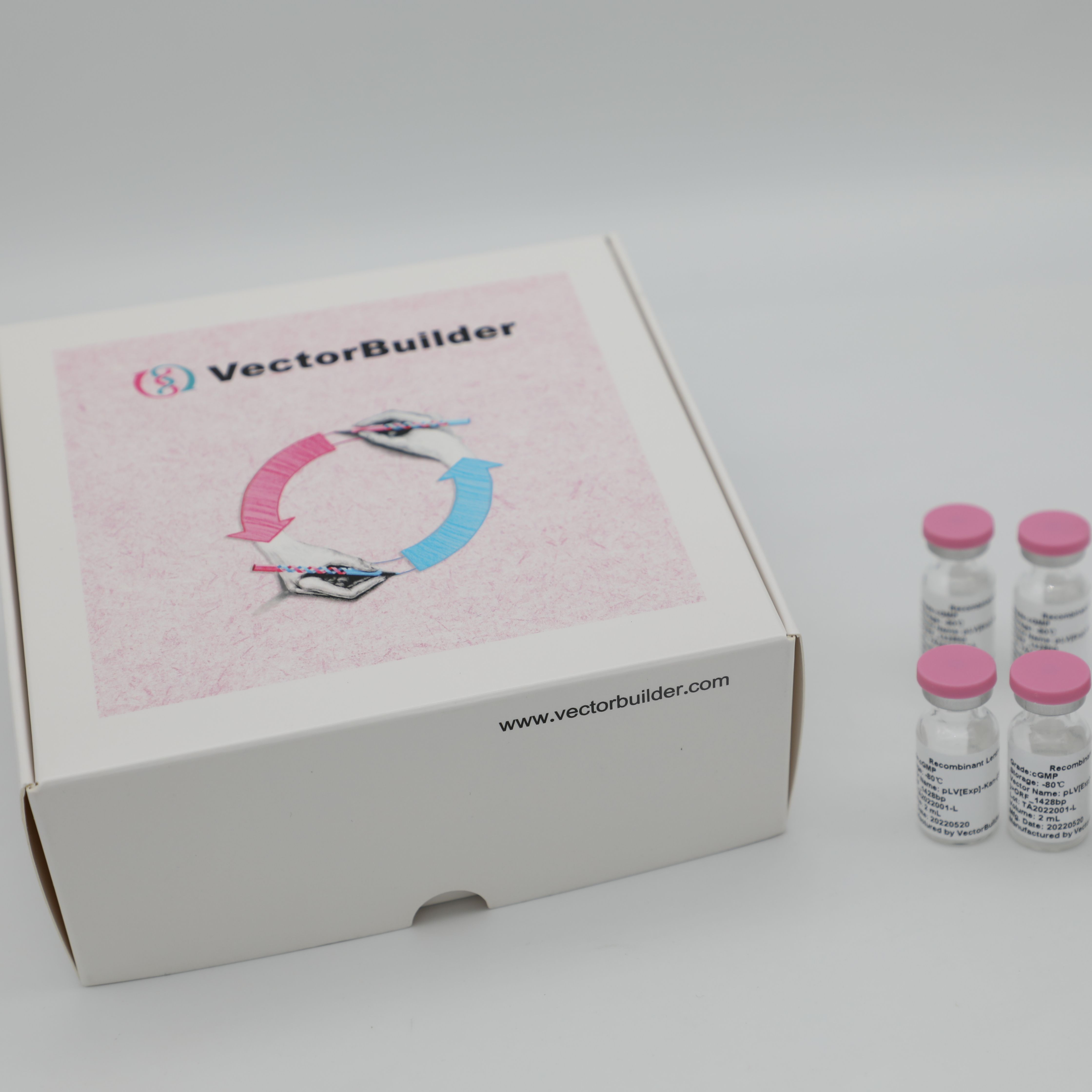 预设计的CRISPR文库