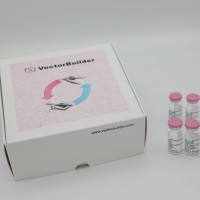 预设计的CRISPR文库