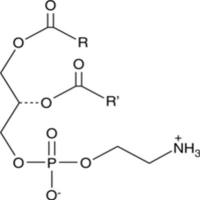 Phosphatidylethanolamines (egg)