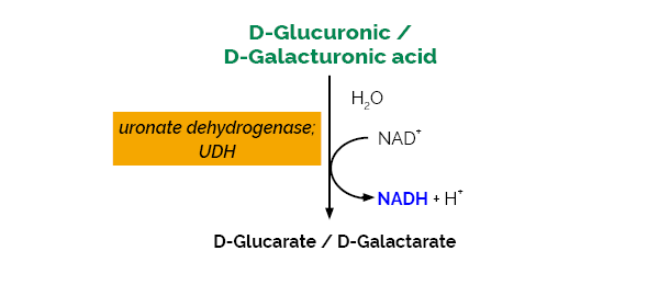 Scheme-K-URONIC URONIC Megazyme