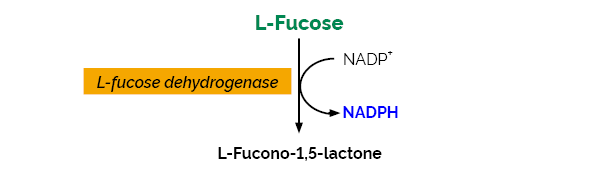 Scheme-K-FUCOSE FUCOSE Megazyme