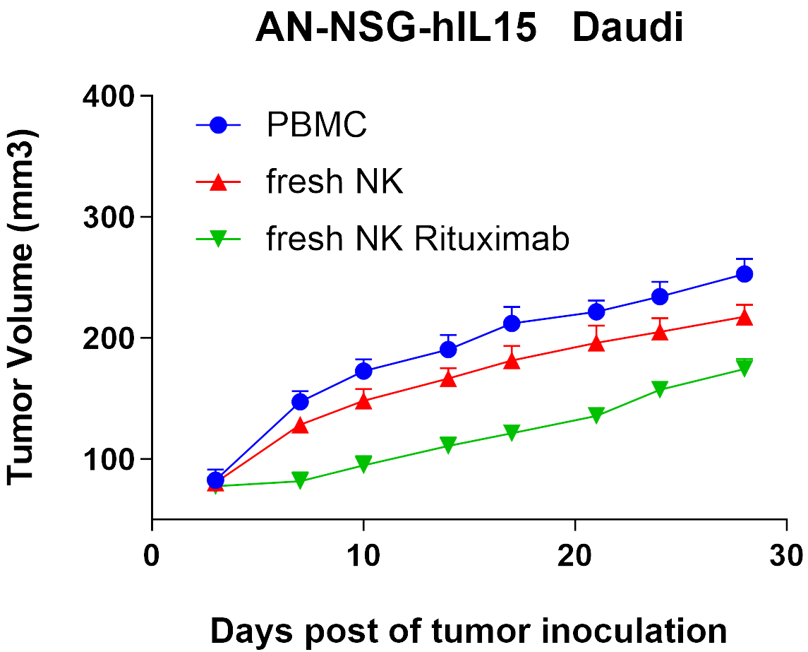 利妥昔对人NK免疫系统中间模型AN-NSG-hIL15小鼠有抑制肿瘤生长的作用