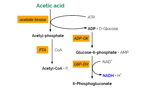 Scheme-K-ACETGK ACETGK megazyme