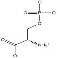 O-Phospho-L-serine
