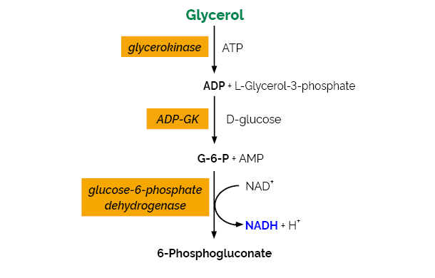 Scheme-K-GCROLGK GCROLGK megazyme