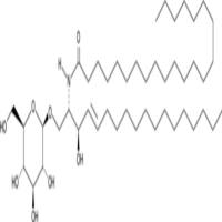C22 Glucosylceramide (d18:1/22:0)
