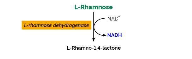 Scheme-K-RHAMNOSE RHAMNOSE Megazyme