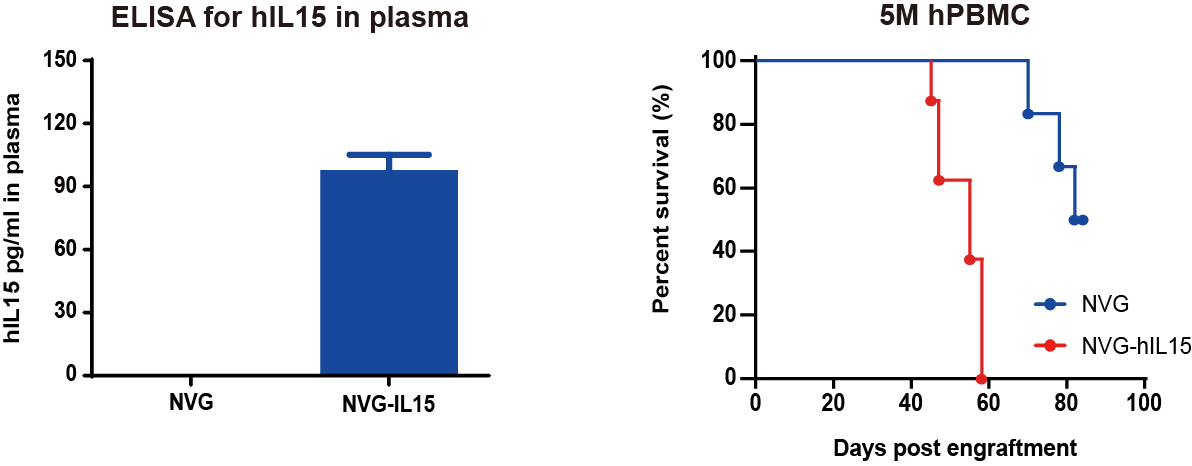 AN-NSG-hIL15小鼠外周血中人源IL-15的表达水平及其生存期