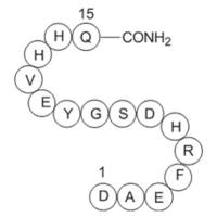 Amyloid β-Protein (1-15)