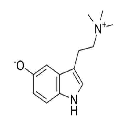 Bufotenidine