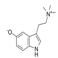 Bufotenidine