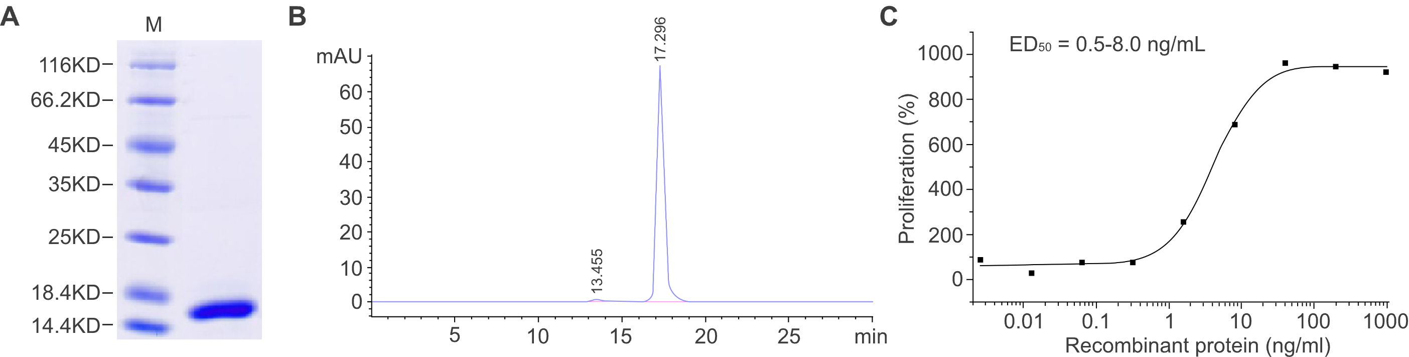 Bacterial protein expression QC