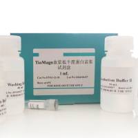 TioMagn血浆低丰度蛋白富集试剂盒