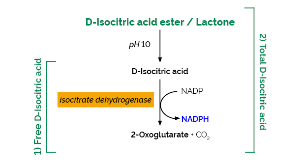 Scheme-K-ISOC ISOC Megazyme