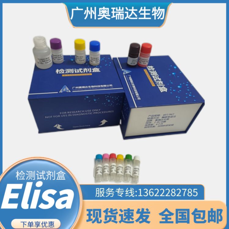 人苗条素受体(LR/Ob-R)ELISA检测试剂盒