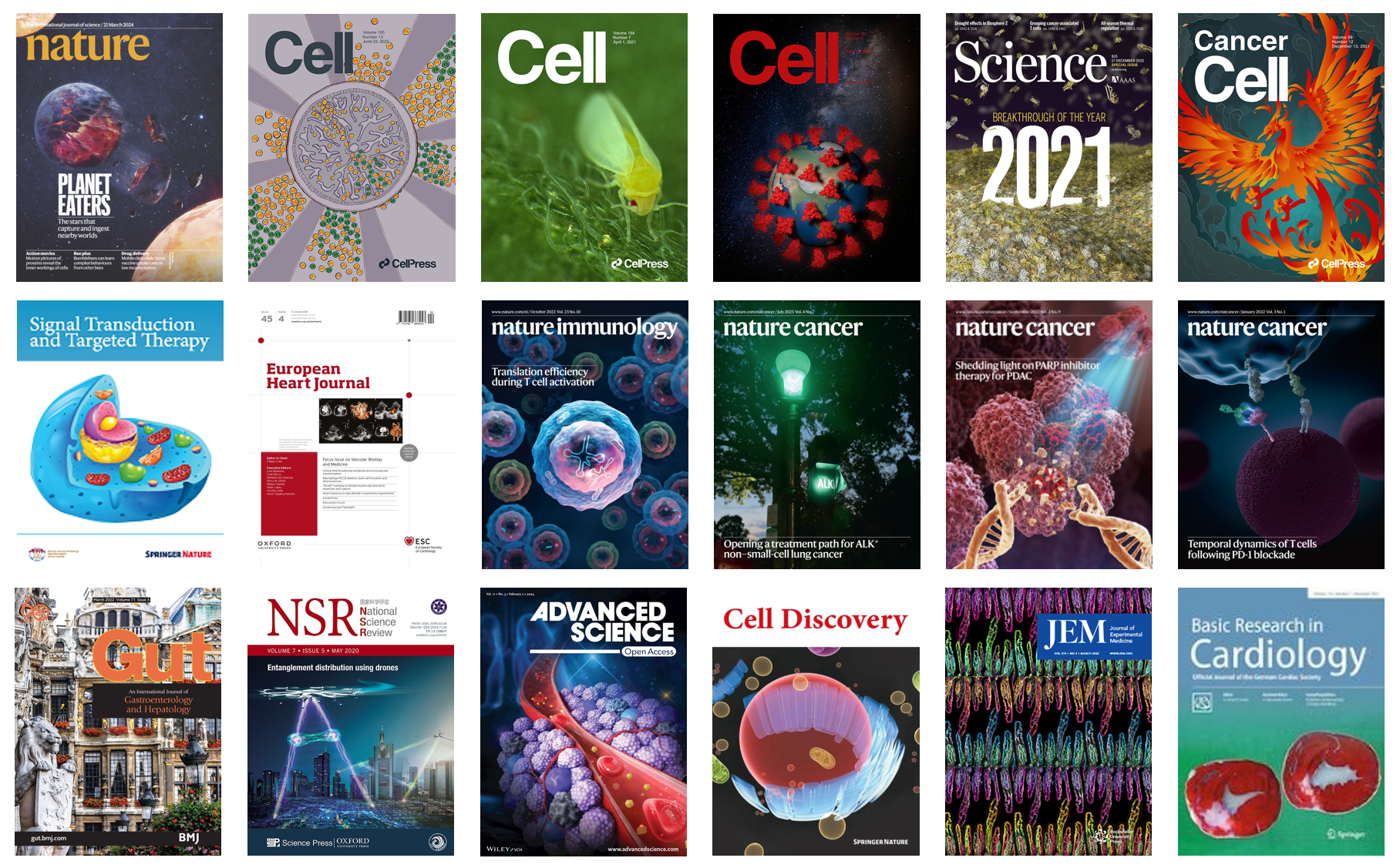 产品细节图片12