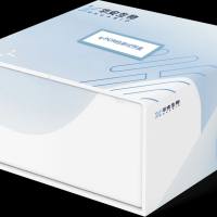  支原体QPCR检测试剂盒