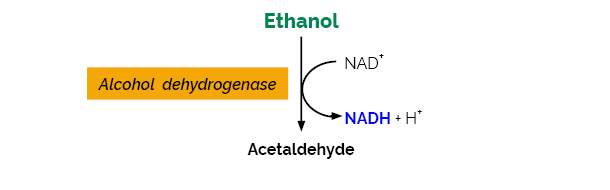Scheme-K-ETOHLQR ETOHLQR megayzme