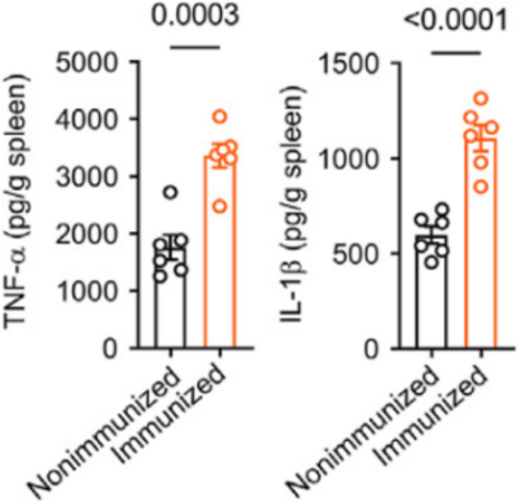 欣博盛产品推荐｜白细胞介素（ILs）ELISA试剂盒