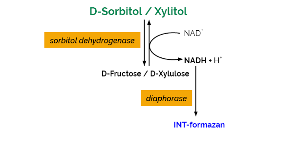 Scheme-K-SORB SORB Megazyme