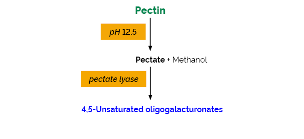 Scheme-K-PECID PECID Megazyme