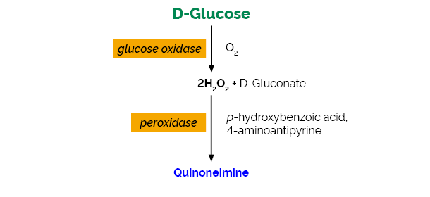 Scheme-K-GLUC GLUC Megazyme
