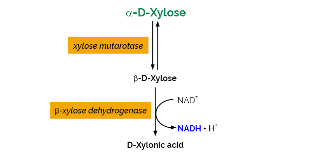 Scheme-K-XYLOSE XYLOSE Megazyme