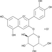 Cyanidin 3-O-β-D-Galactopyranoside (chloride)