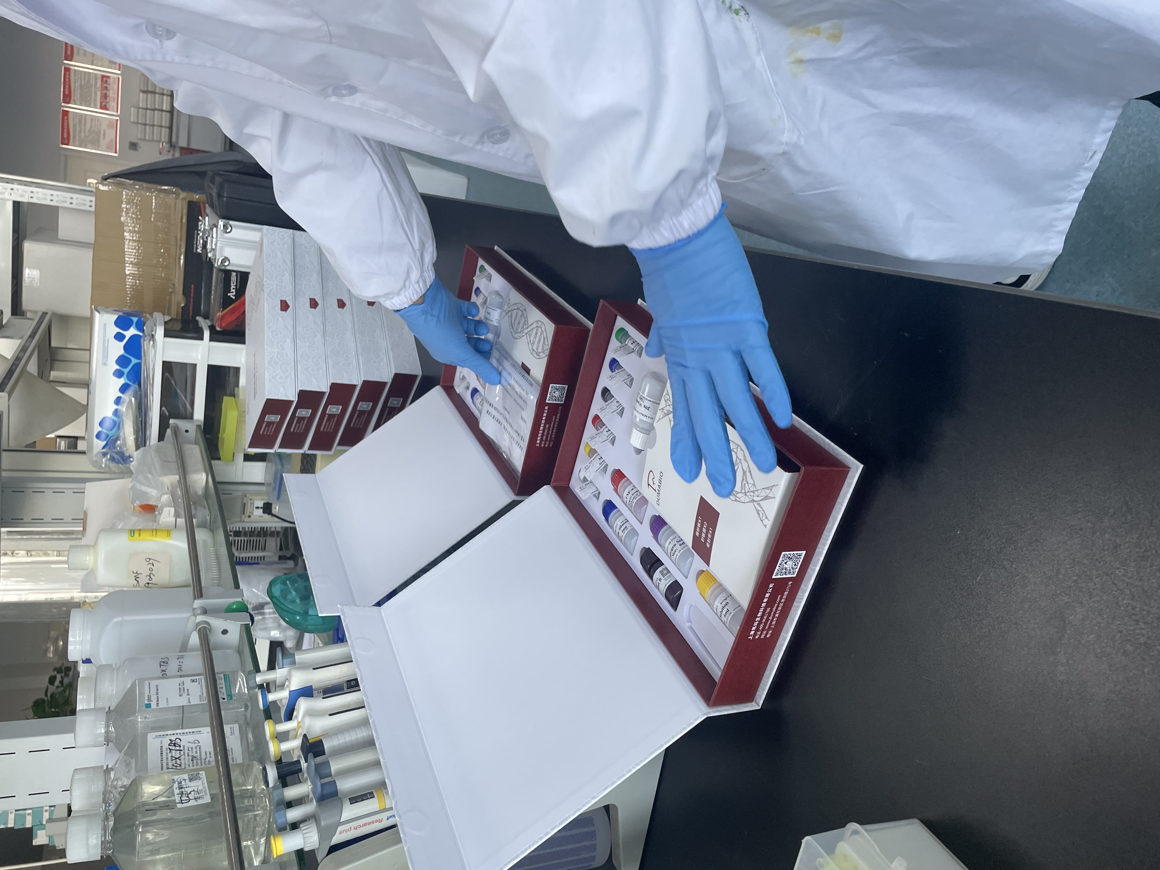 牛神经生长因子(NGF)ELISA试剂盒  