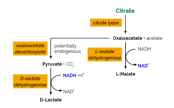 Scheme-K-CITR CITR Megazyme