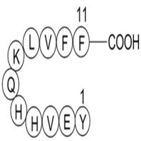 Amyloid β-Peptide (10-20) (human)