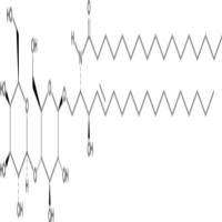 C17 Lactosylceramide (d18:1/17:0)