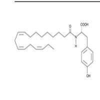 N-(α-Linolenoyl) Tyrosine