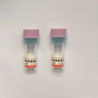 小鼠抗C反应蛋白