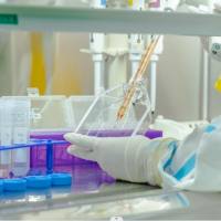 增强子/启动子文库构建