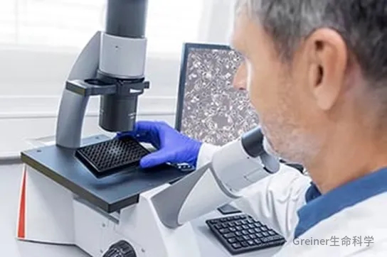 影响微孔板高通量筛选和成像质量的重要因素（下）