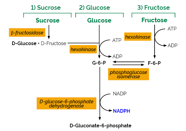 Scheme-K-SUFRG SUFRG Megazyme