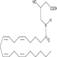N-Arachidonoyl-3-hydroxy-γ-Aminobutyric Acid