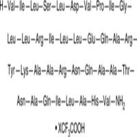 Urocortin II (mouse) (trifluoroacetate salt)