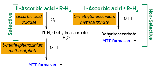 Scheme-K-ASCO ASCO megazyme