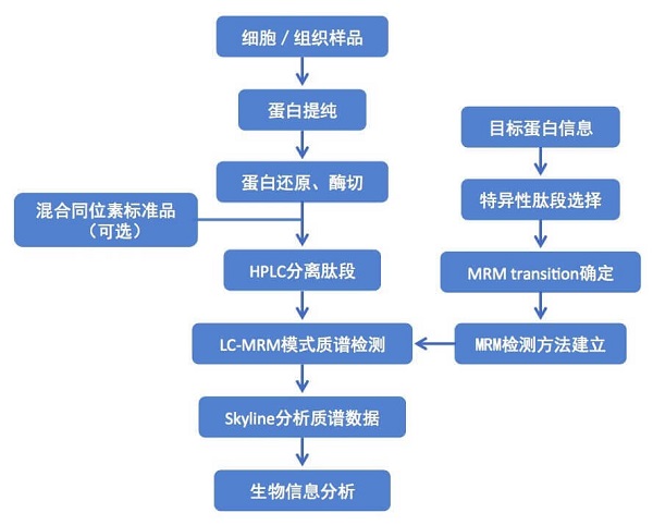 产品细节图片3