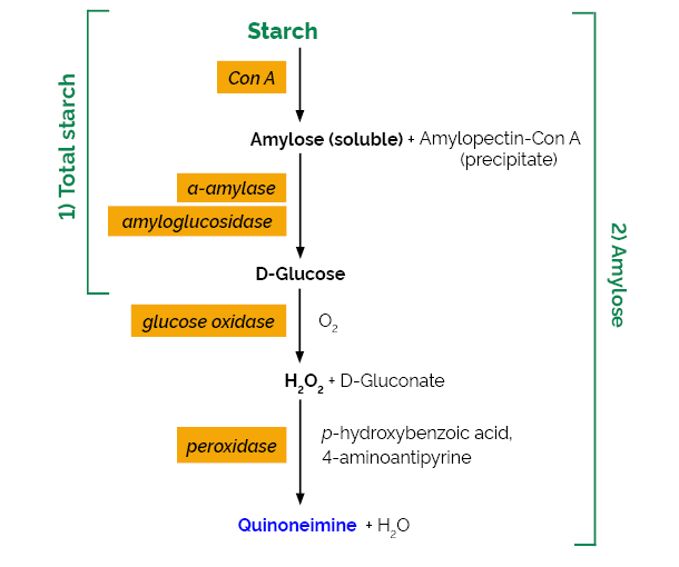Scheme-K-AMYL K-AMYL Megazyme
