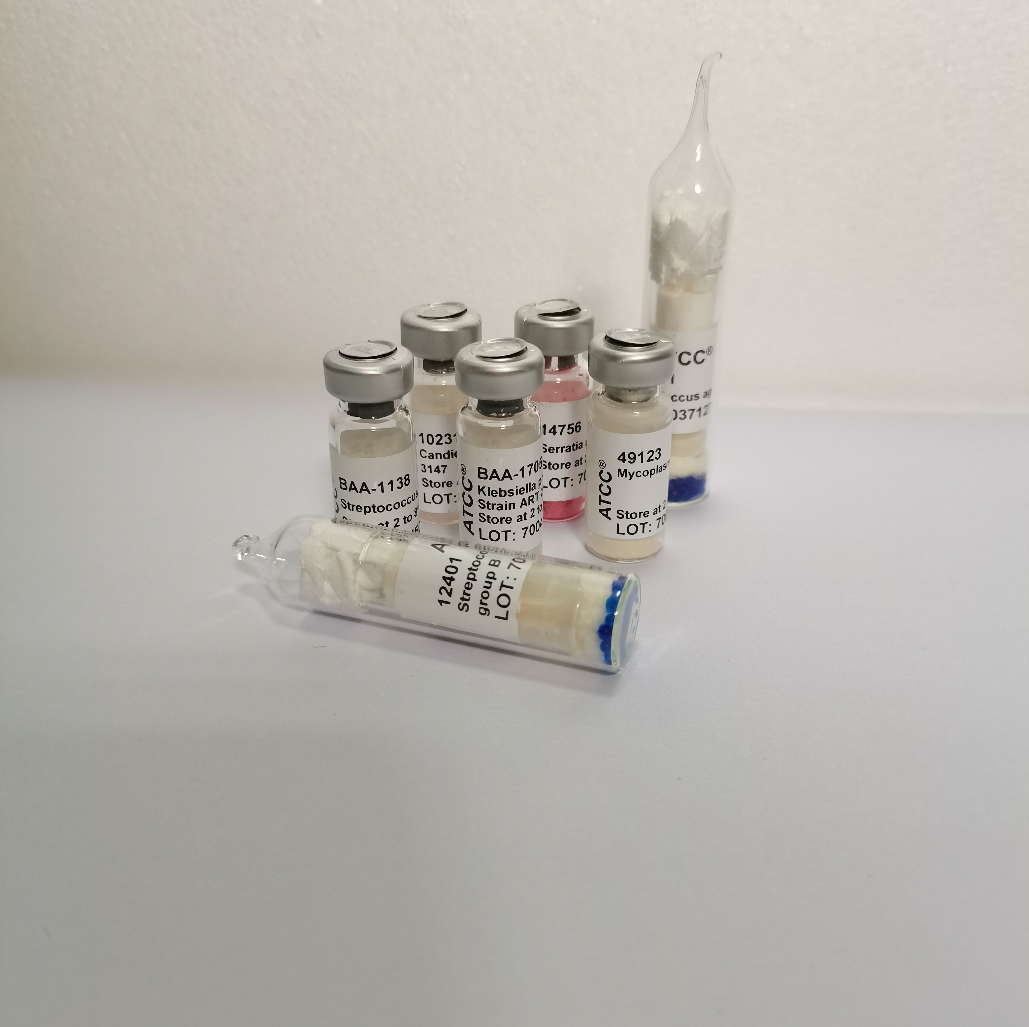 英诺克李斯特氏菌产品图