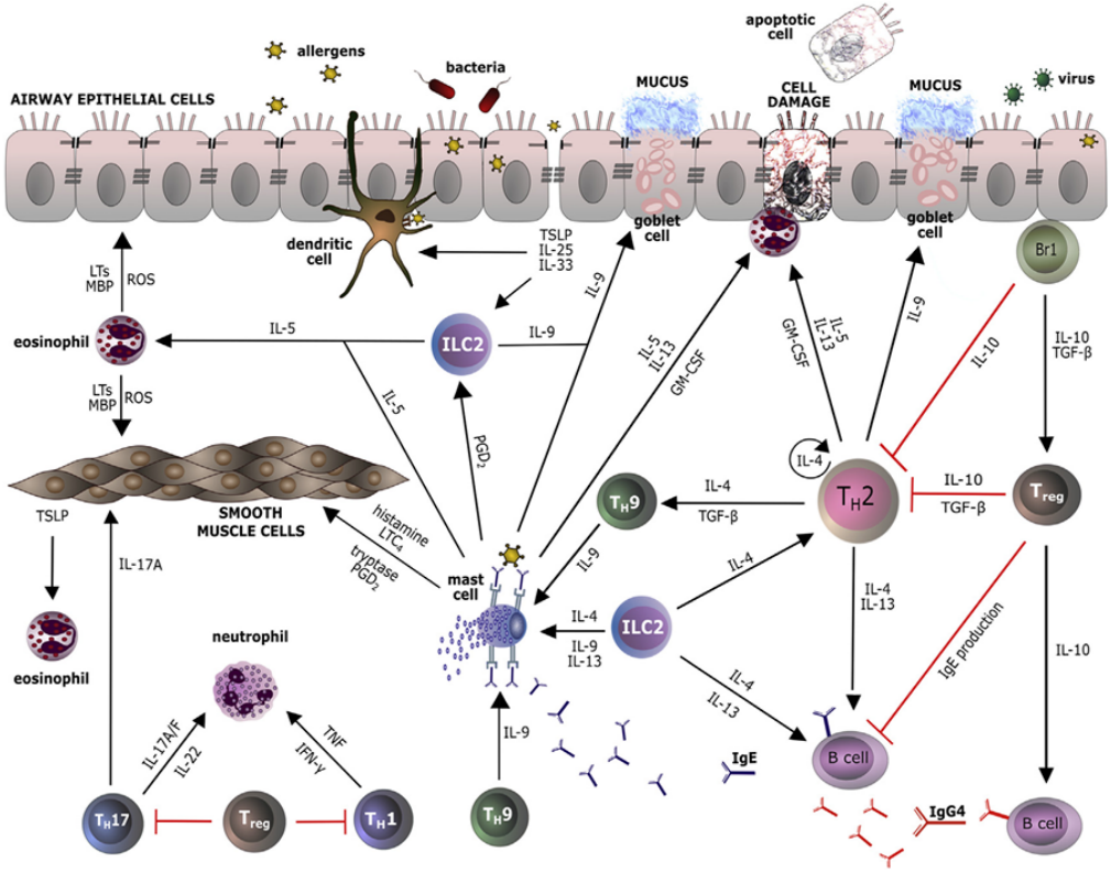 欣博盛产品推荐｜白细胞介素（ILs）ELISA试剂盒