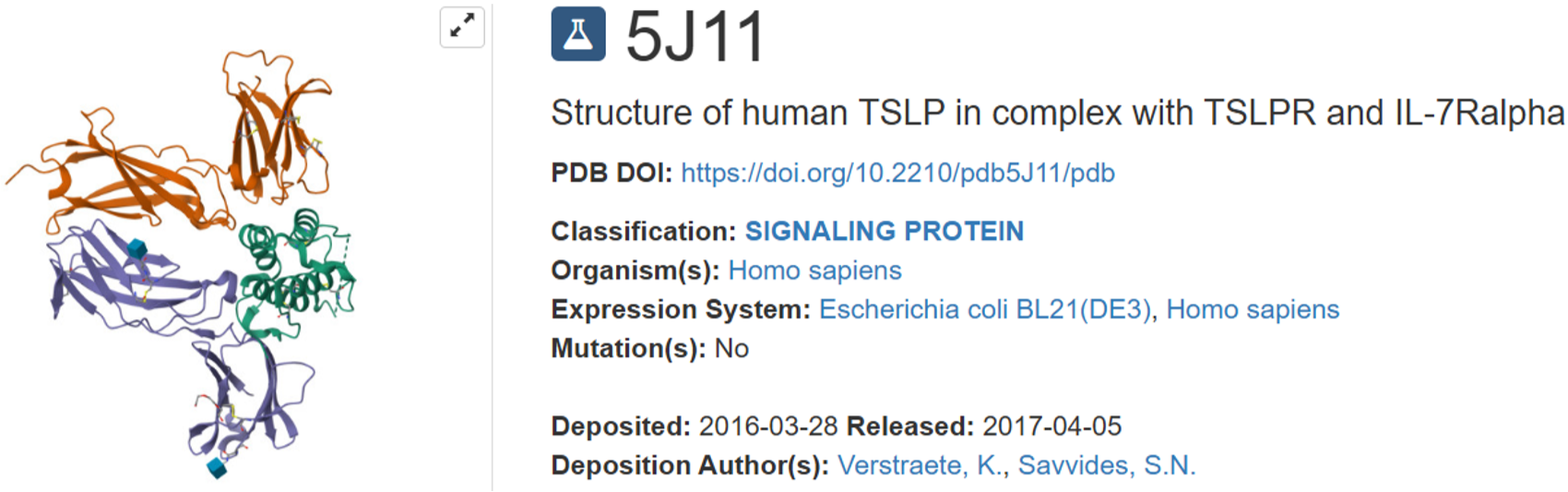 欣博盛产品推荐｜自身免疫病明星蛋白TSLP检测ELISA试剂盒！