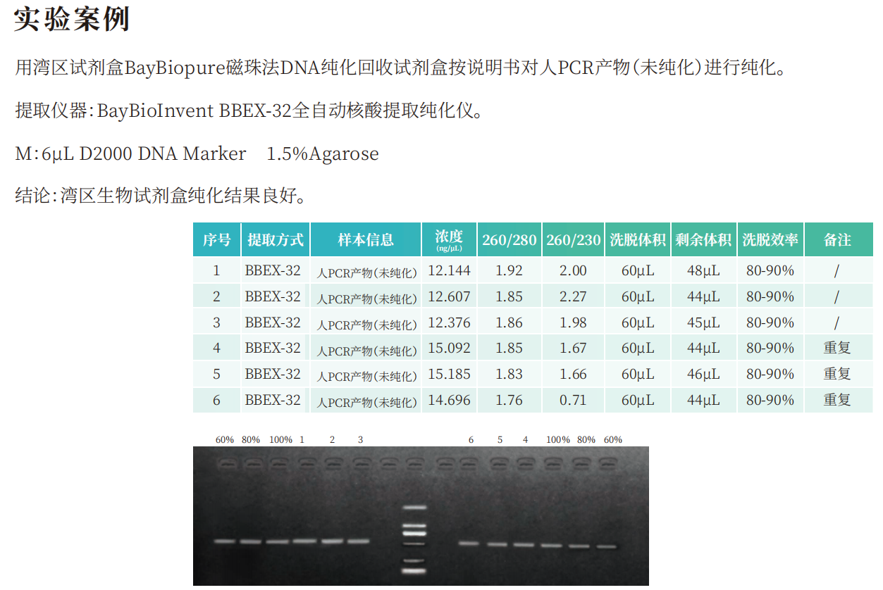 BayBiopure磁珠法DNA纯化回收试剂盒