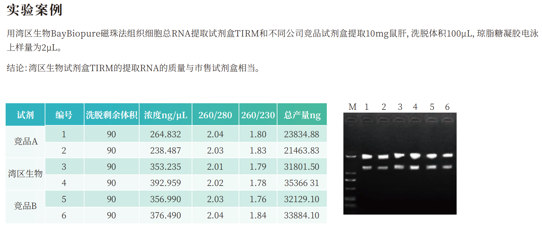 BayBiopure磁珠法组织细胞总RNA提取试剂盒