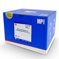 (MPure-96™)病毒DNA/RNA提取试剂盒（磁珠法）