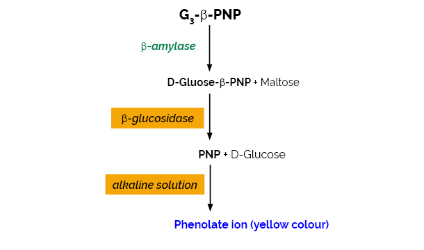 Scheme-K-BETA3 BETA3 Megazyme